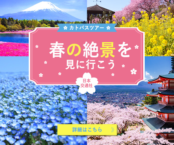 バスツアー観光会社　広告バナーのデザイン制作致しました！＠あなたの事業のデジタル専任WEBマネージャー ｜ パープルデザイン：東京都三鷹市、杉並区、吉祥寺のWEB制作会社「パープルデザイン企画」