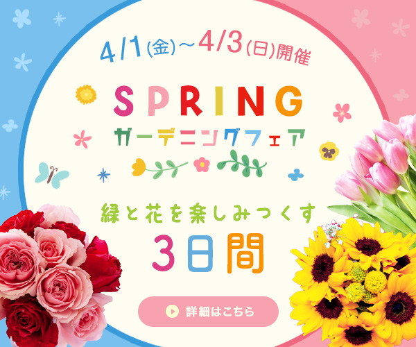 イベント告知用　バナー広告のデザイン制作致しました！＠あなたの事業のデジタル専任WEBマネージャー ｜ パープルデザイン：東京都三鷹市、杉並区、吉祥寺のWEB制作会社「パープルデザイン企画」